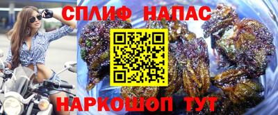 гидропоника Абинск